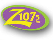 Z logo small