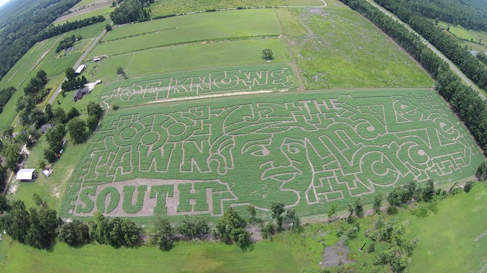 Galloway Farm, Home of Maze Craze