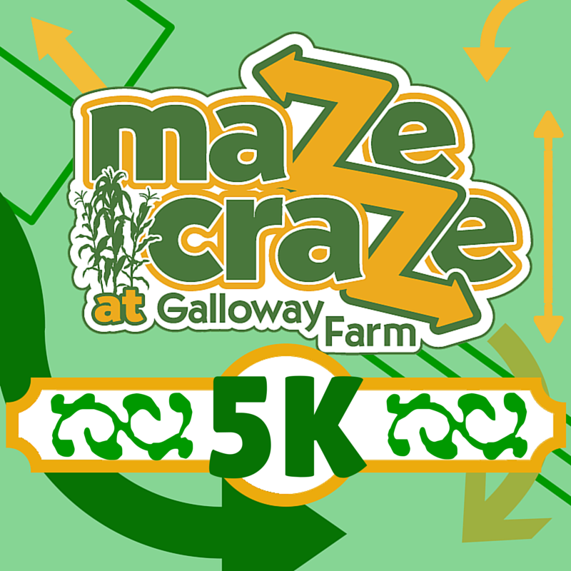 Galloway Farm, Home of Maze Craze