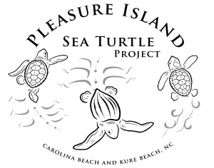 PISTP Sea Turtle logo